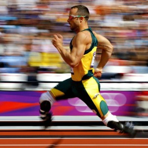 中国跳水队再创辉煌，包揽世锦赛全部金牌